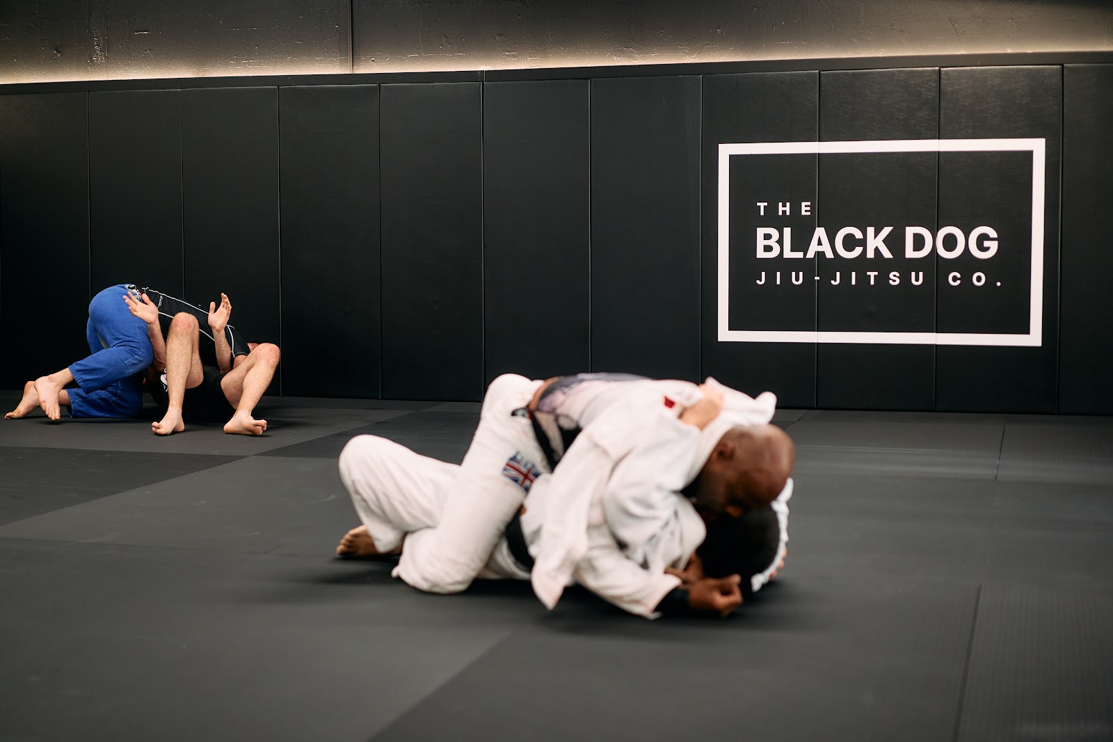 The Black Dog Jiu-Jitsu Company photo