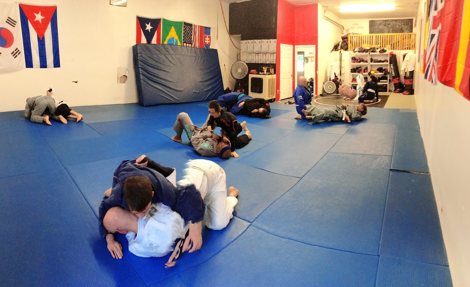 Image 7 of Raven Brazilian Jiu-Jitsu