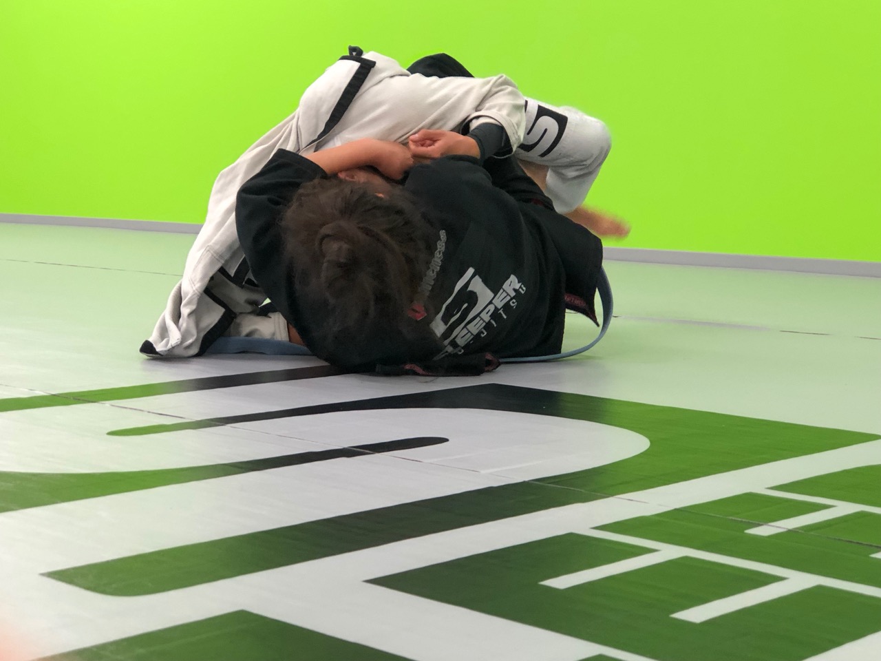 Image 10 of Sleeper Jiu Jitsu