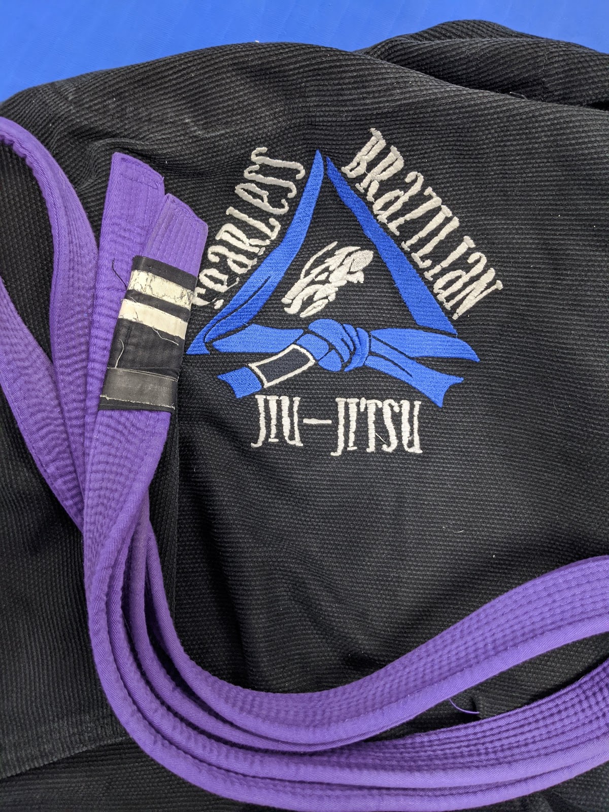 Image 10 of Fearless Brazilian Jiu-Jitsu Os/Ms.