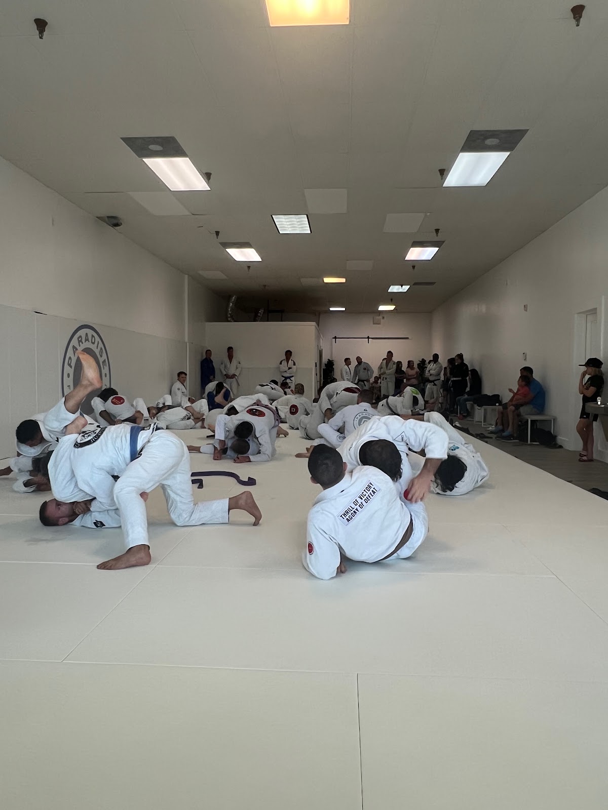 Image 6 of Paradise Fitness and Jiu Jitsu