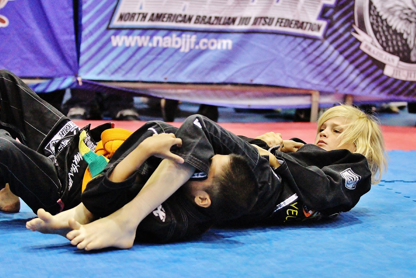 Image 6 of Honor Roll Brazilian Jiu-Jitsu