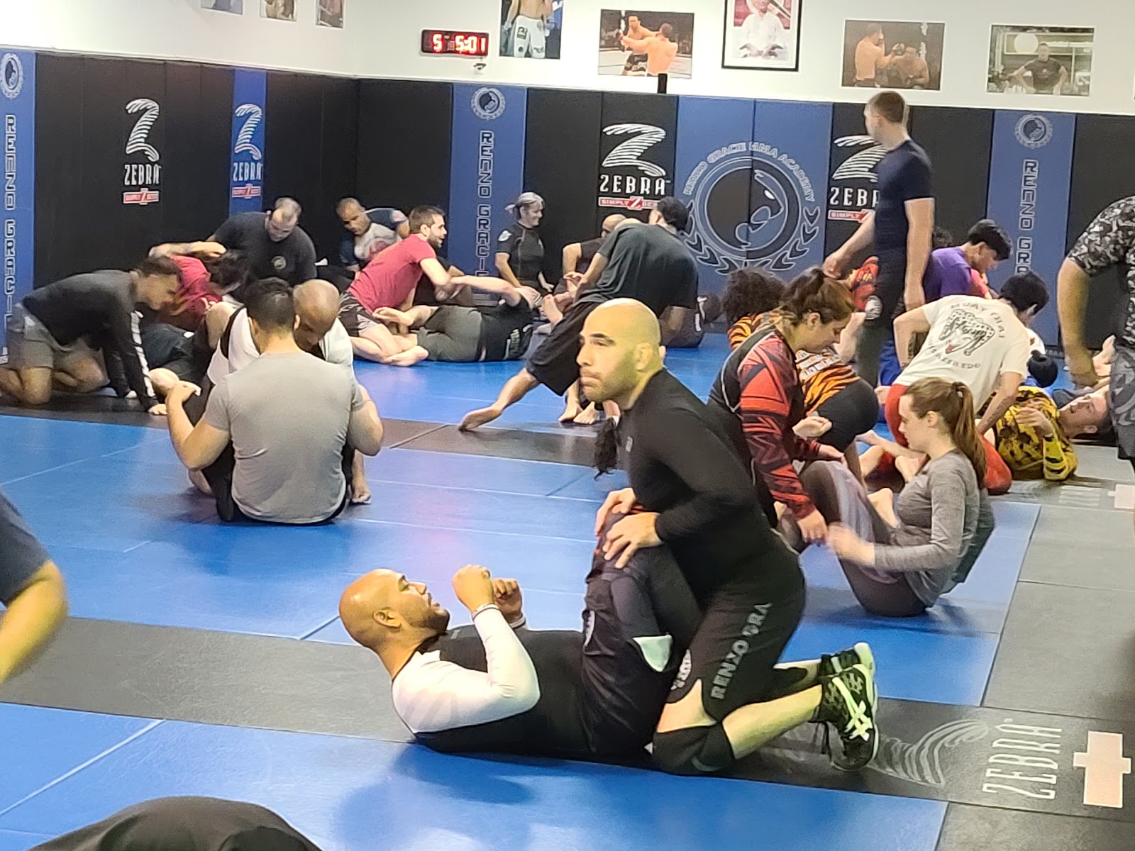 Renzo Gracie MMA Academy photo