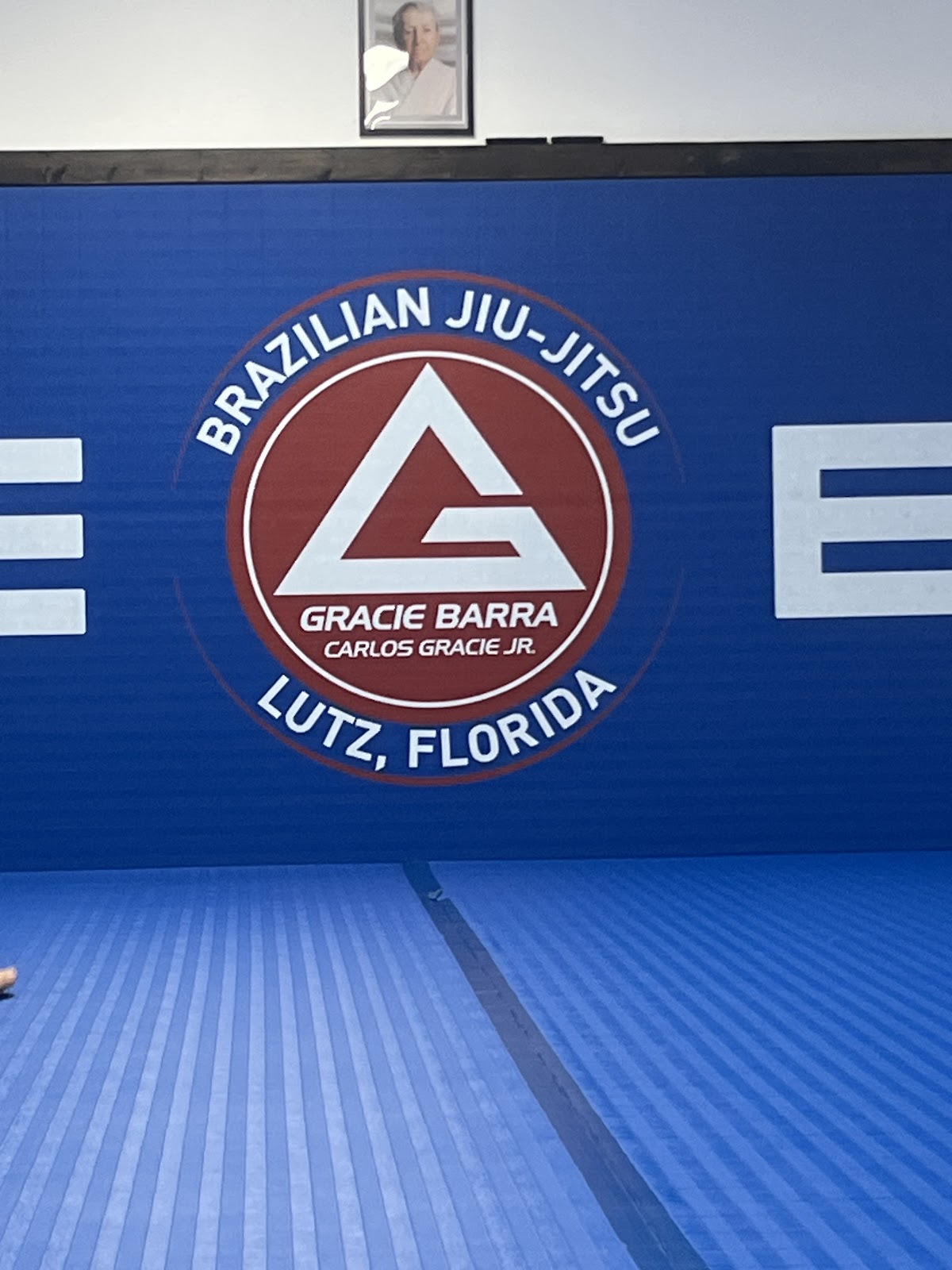 Image 2 of Gracie Barra Lutz