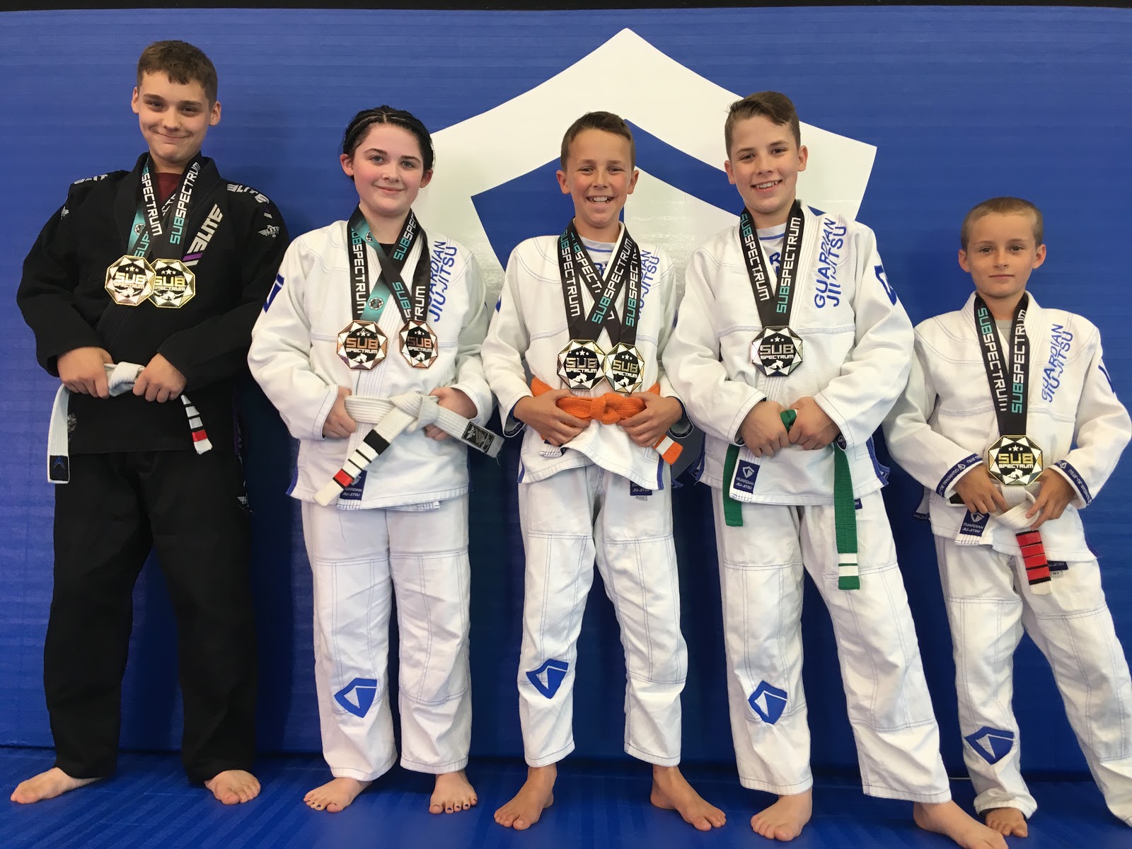 Guardian Jiujitsu & Wellness photo