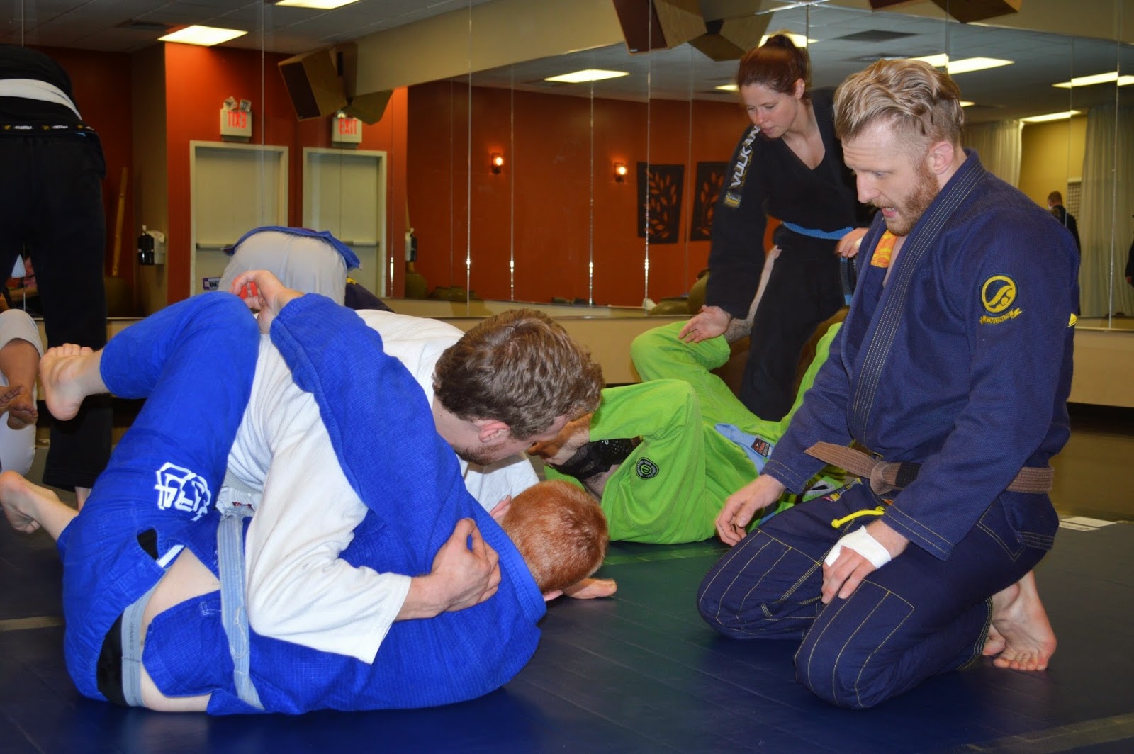 Image 4 of Standard Jiujitsu