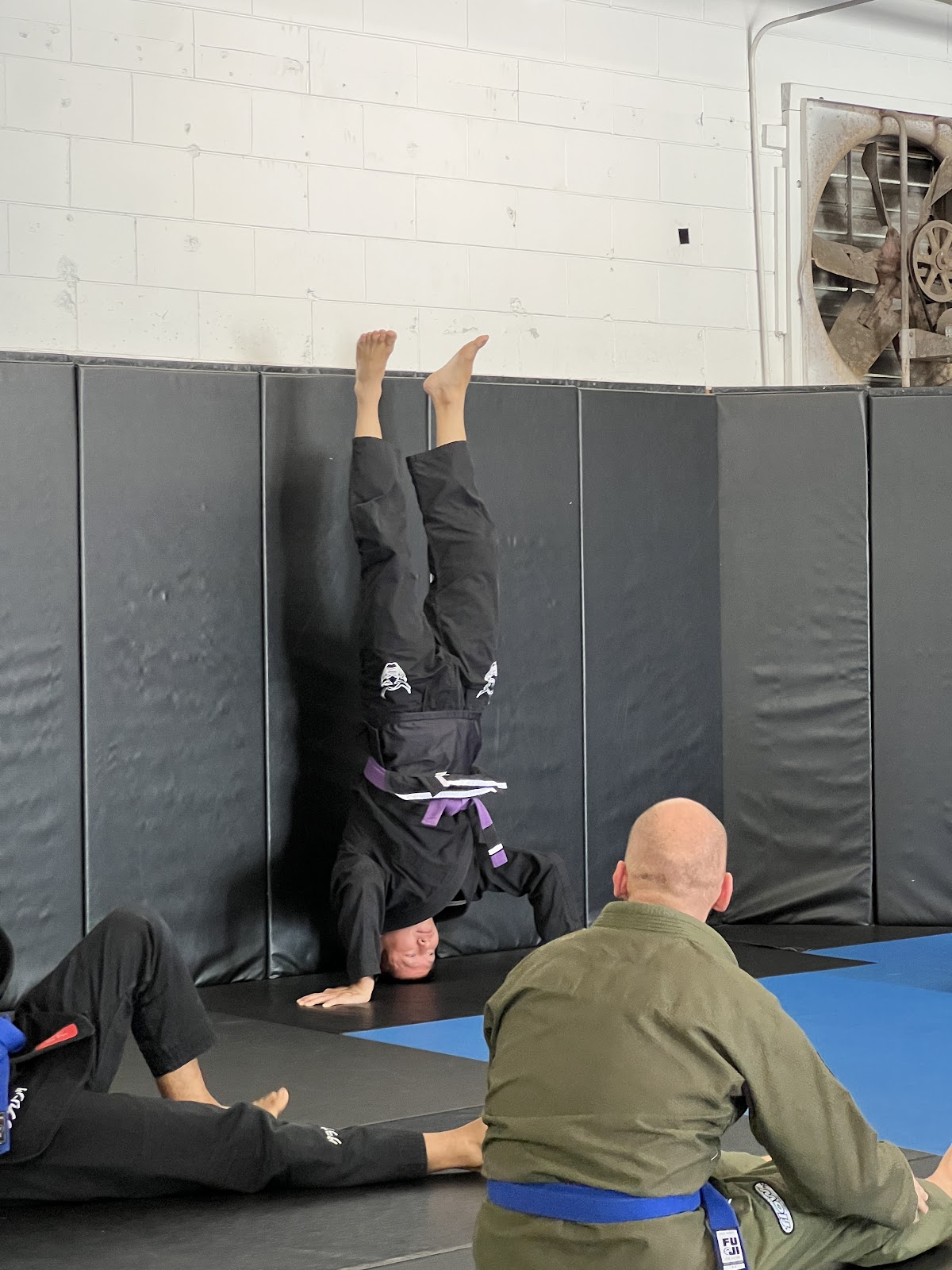 Image 2 of Cogito Jiu Jitsu