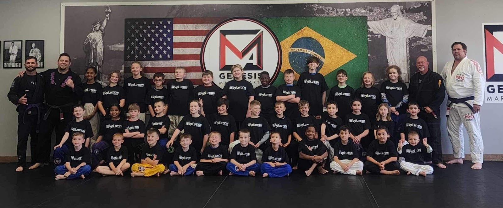 Genesis Martial Arts/BJJ Revolution Alexandria photo