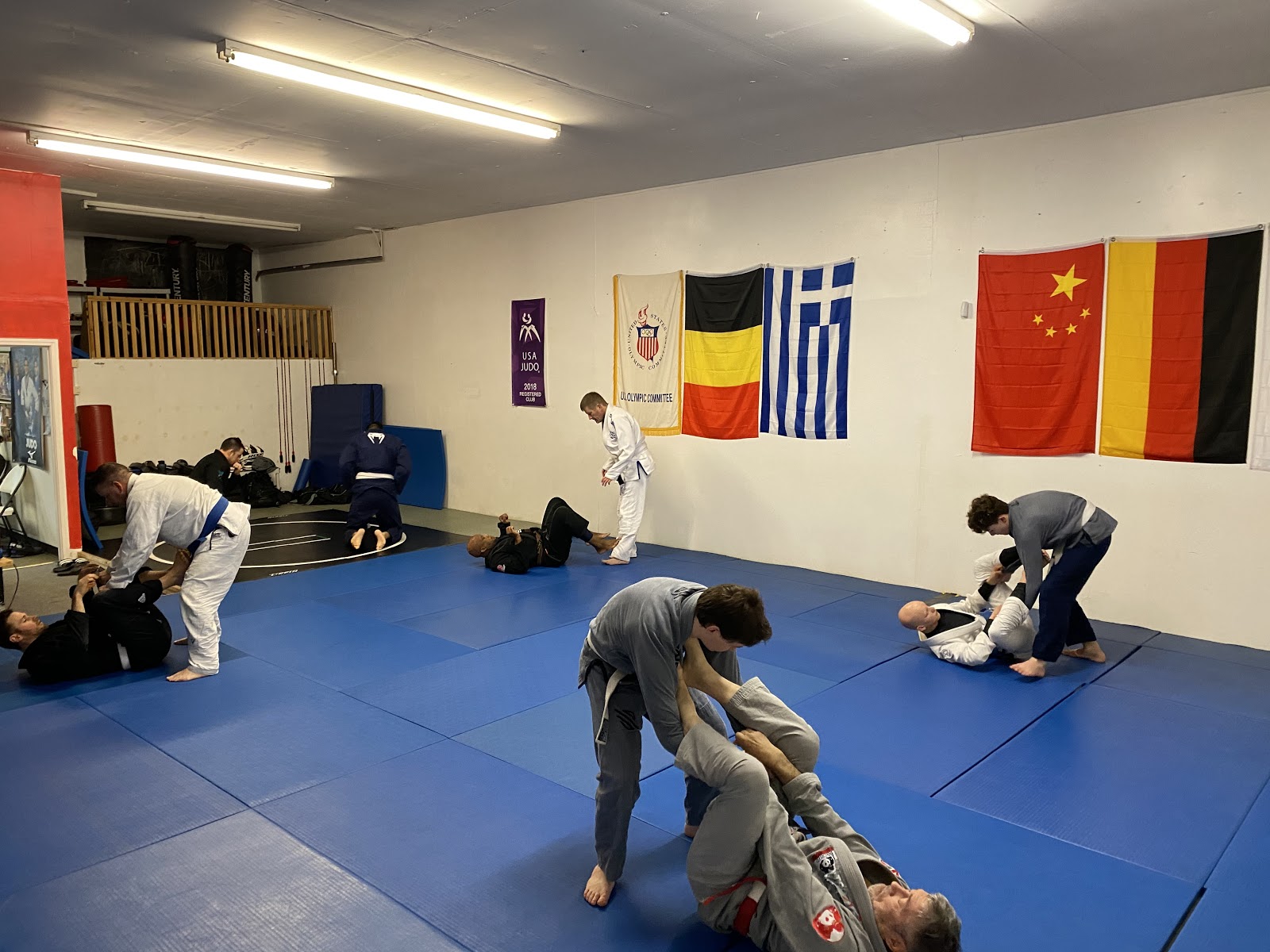 Image 5 of Raven Brazilian Jiu-Jitsu