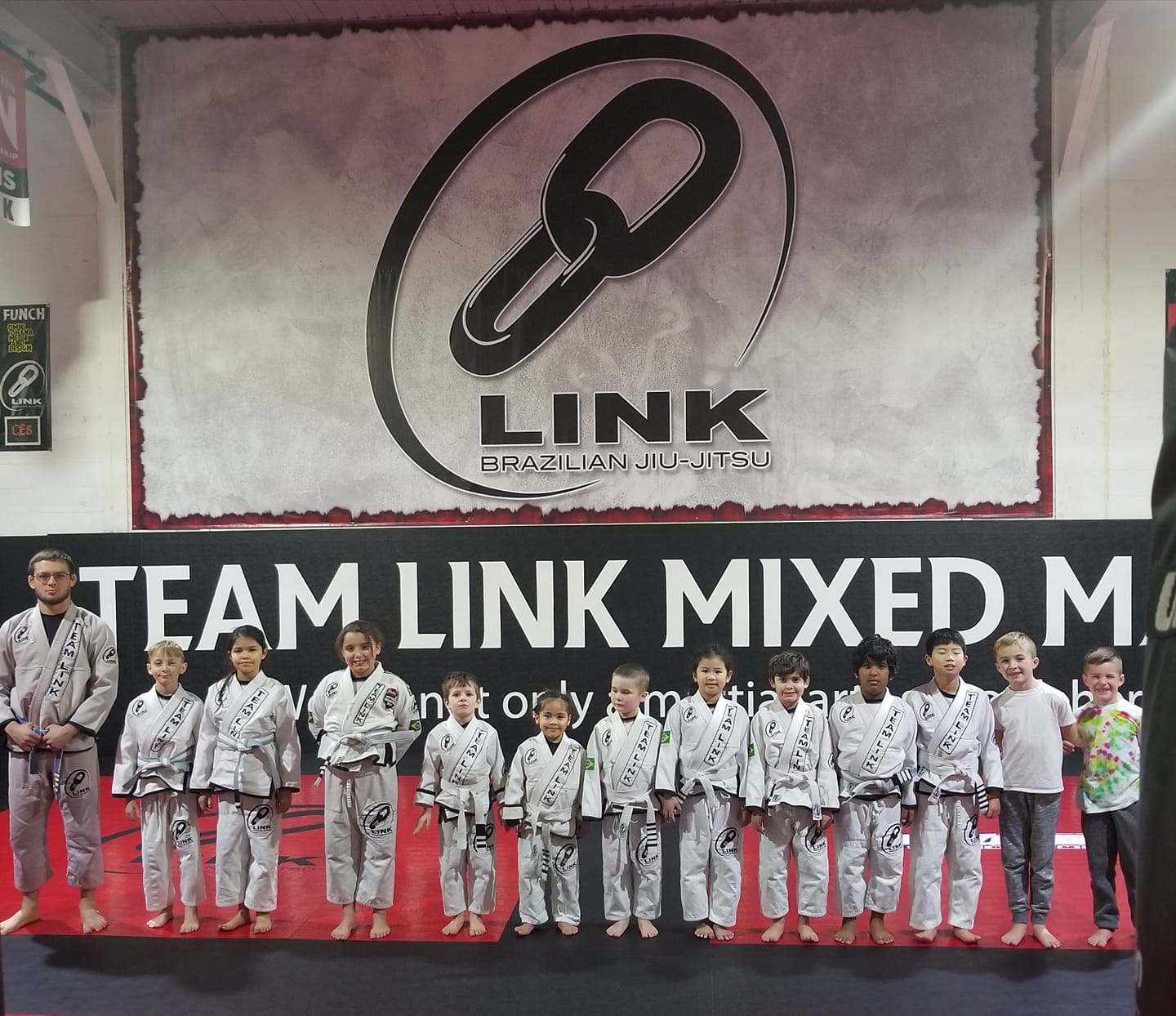 Main image of Team Link Ludlow MA - Brazilian Jiu Jitsu