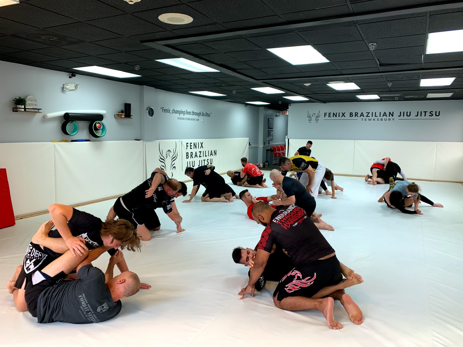 Image 4 of Fenix Brazilian Jiu Jitsu Tewksbury