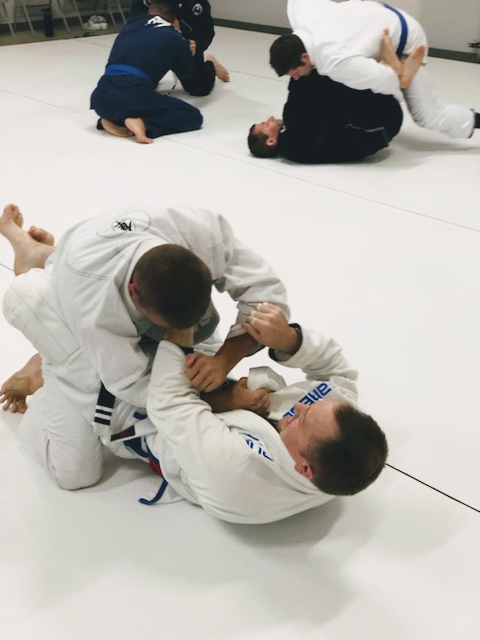 Image 5 of Levitate Jiu Jitsu