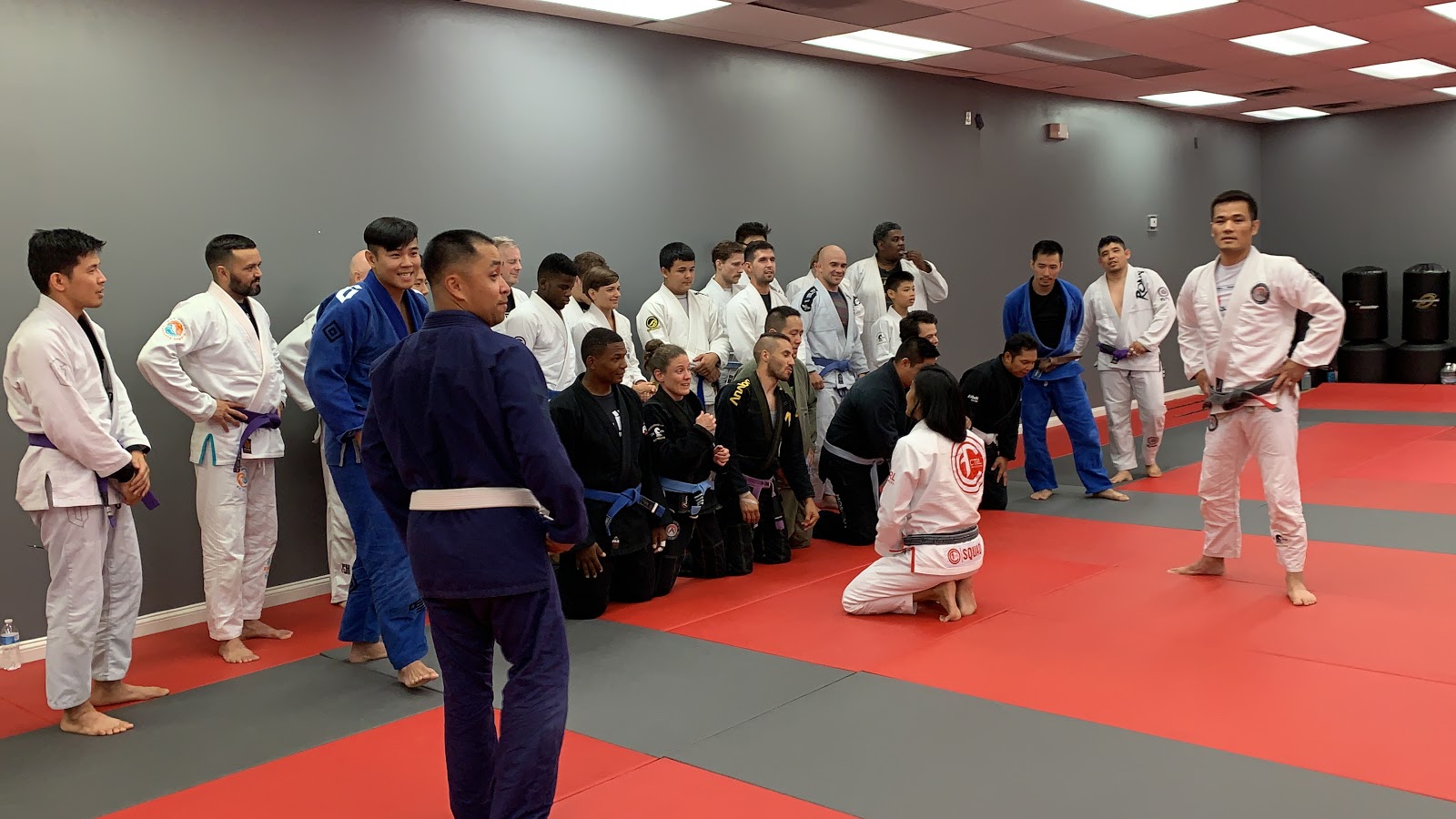 Image 3 of Caio Terra Academy - Alexandria BJJ