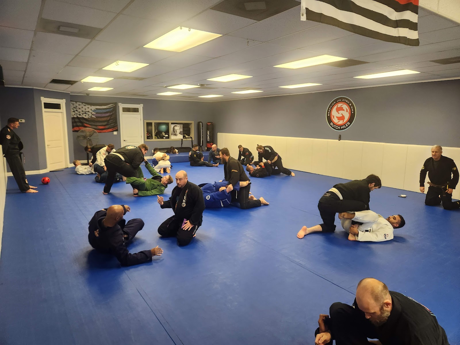 ECOS BJJ photo