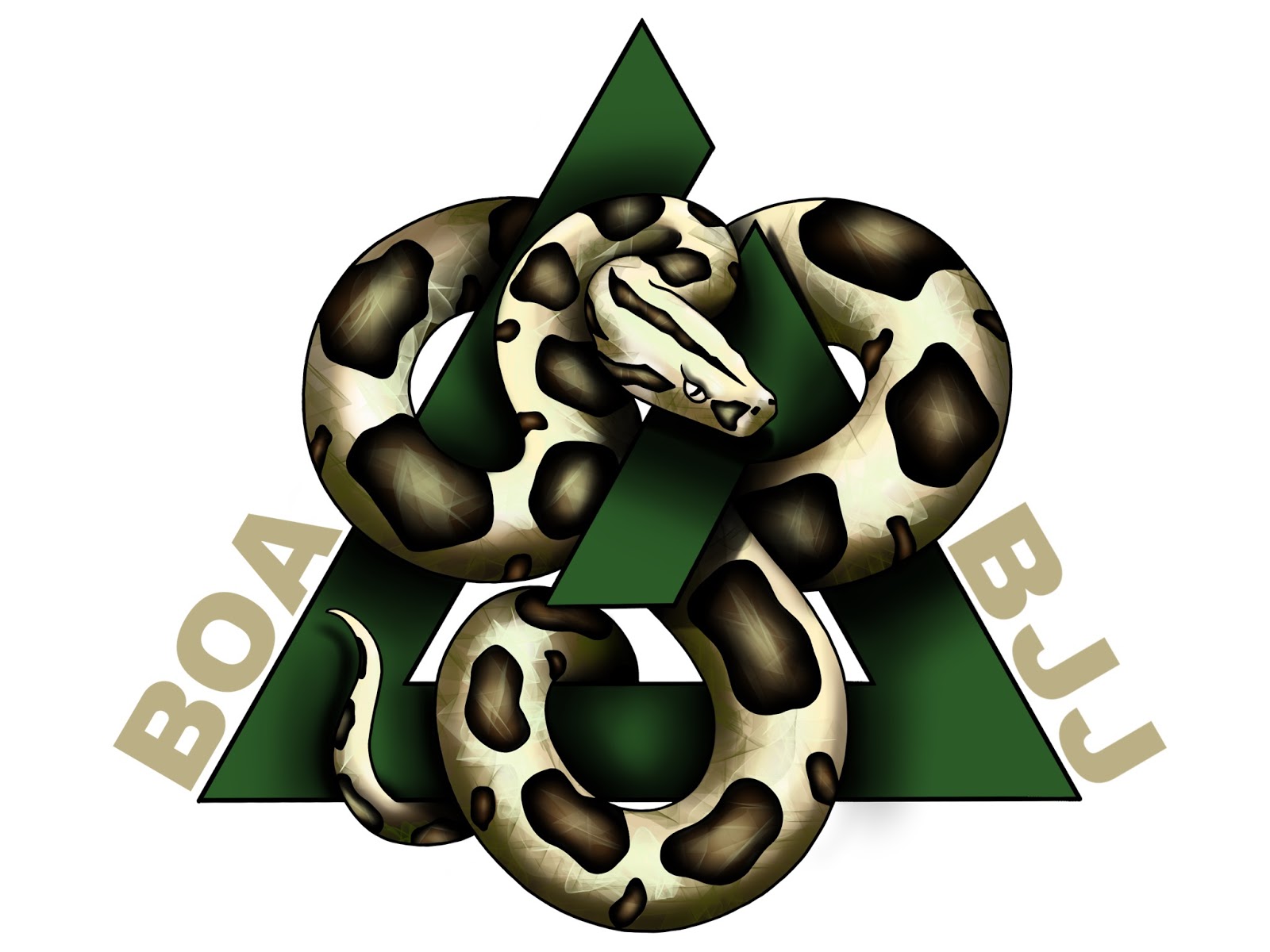 Image 3 of Boa Brazilian Jiu Jitsu LLC