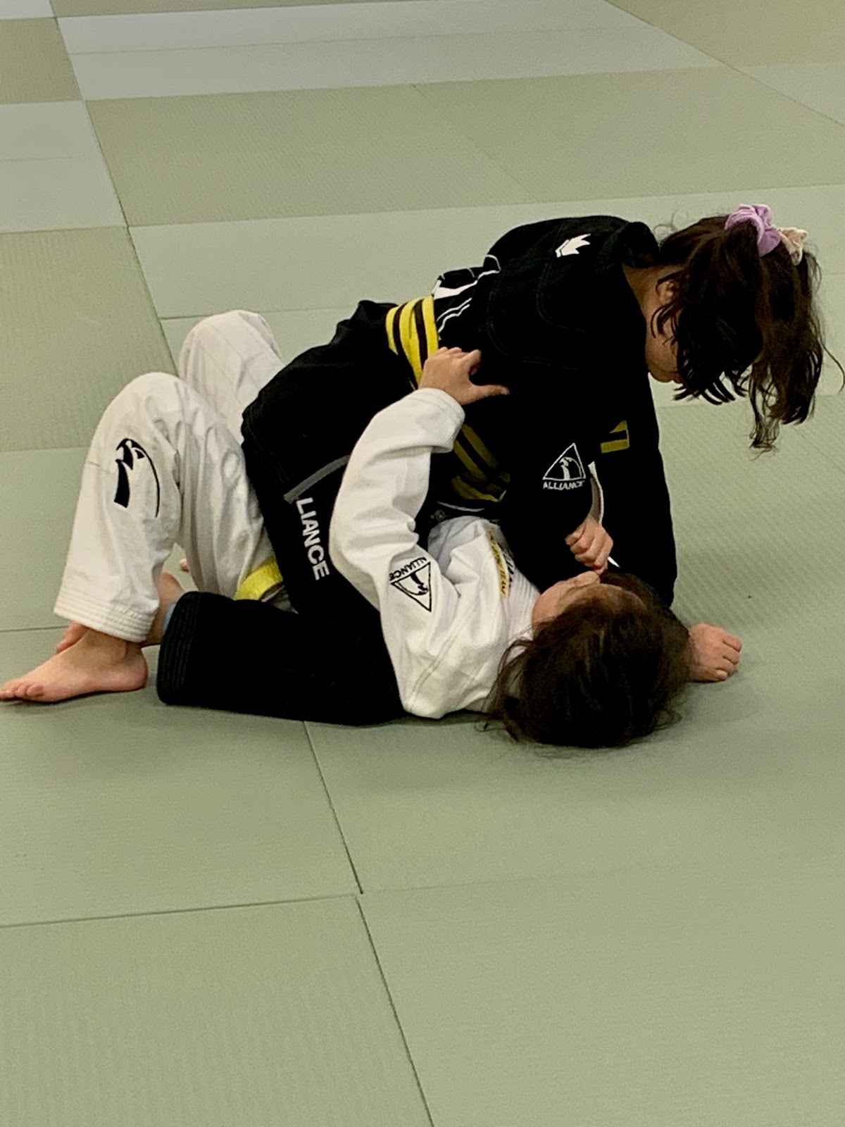 Image 9 of Alliance Jiu Jitsu Boise