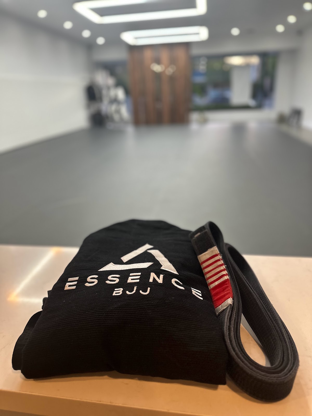 Image 10 of Essence BJJ Danville