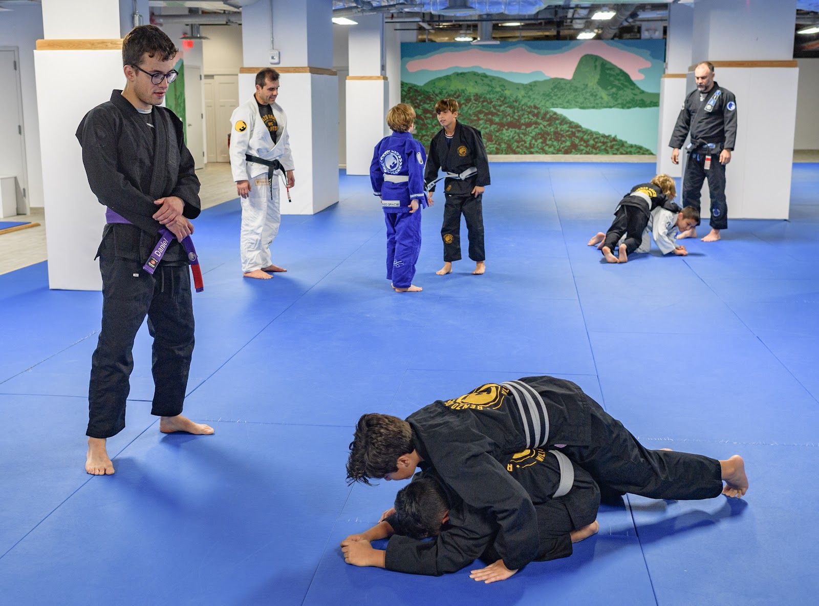 Renzo Gracie Jiu-Jitsu Wall Street photo