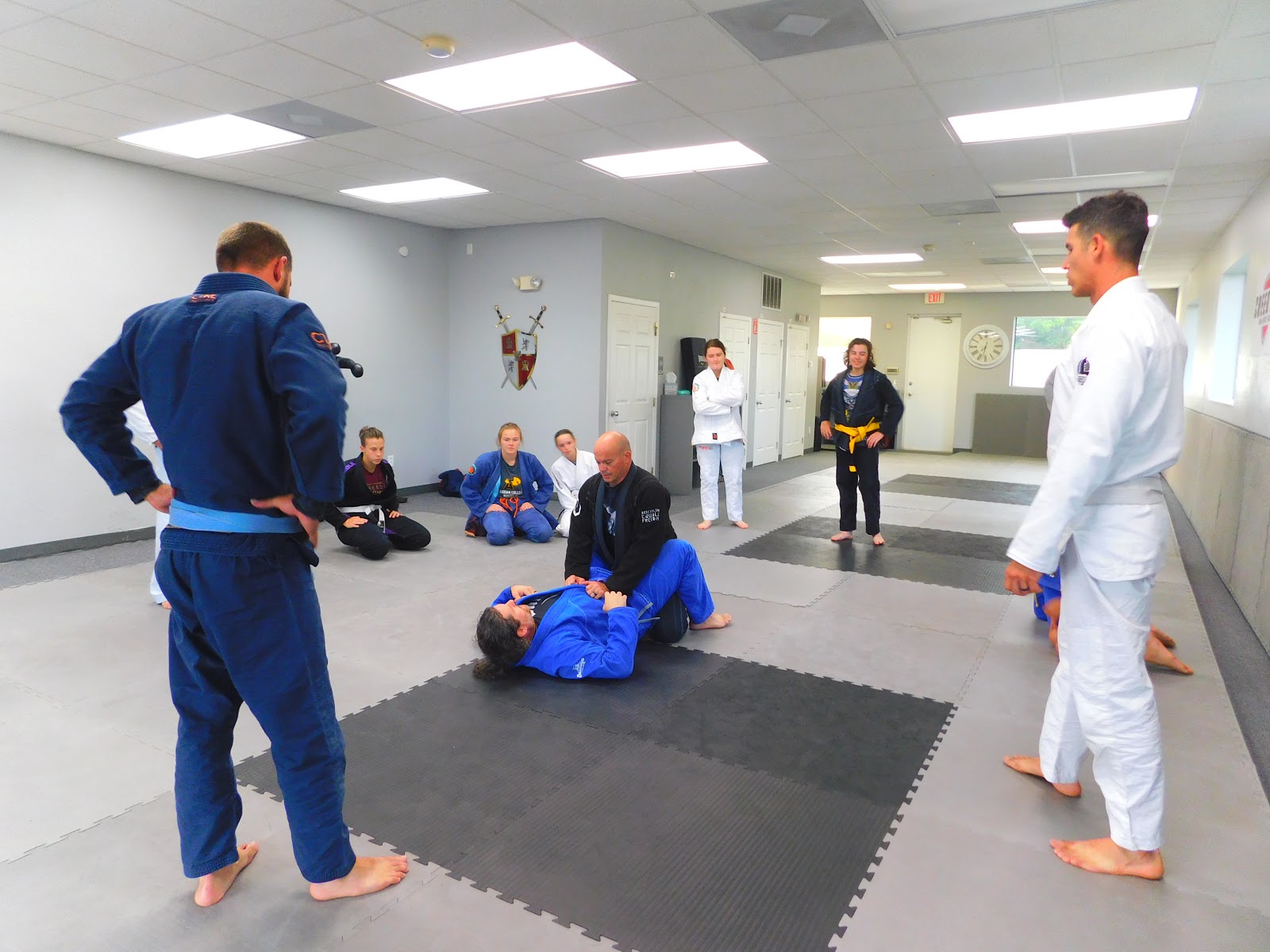 Image 2 of Creed BJJ