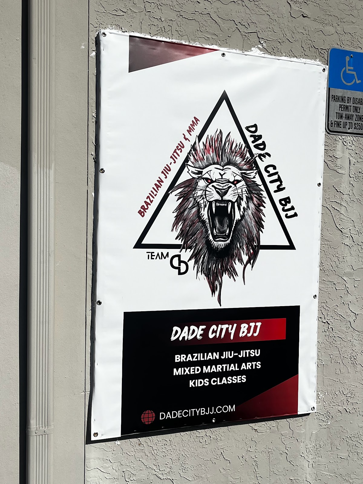 Image 5 of Dade City BJJ