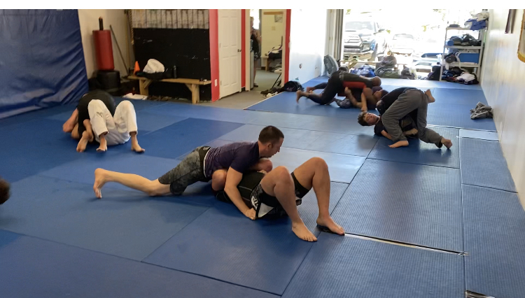 Image 3 of Raven Brazilian Jiu-Jitsu