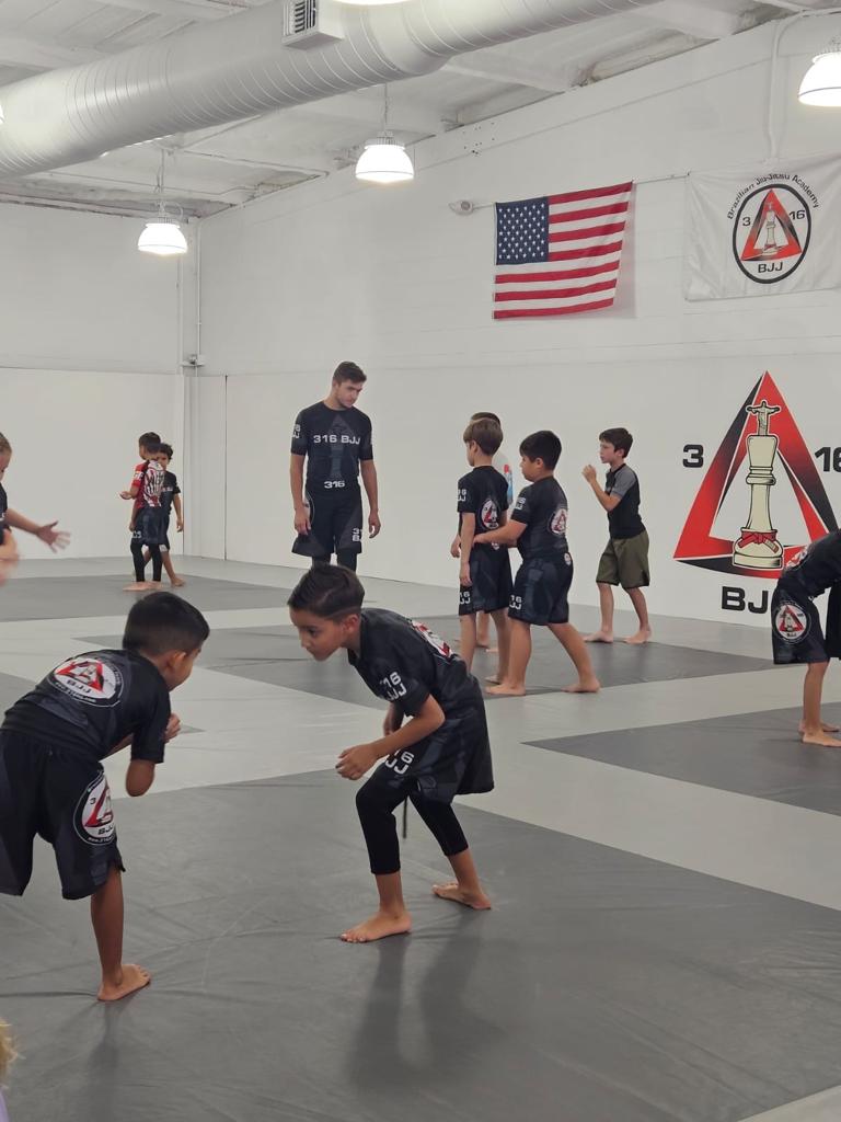 Image 7 of 316 Brazilian Jiu-Jitsu / MMA