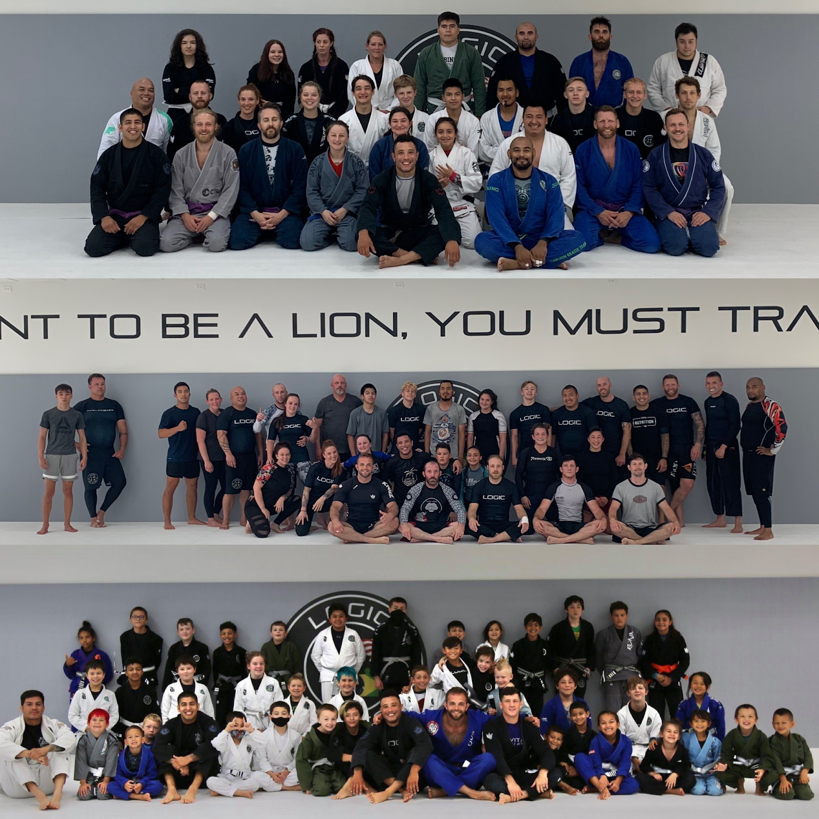 Main image of Logic Jiu Jitsu Club