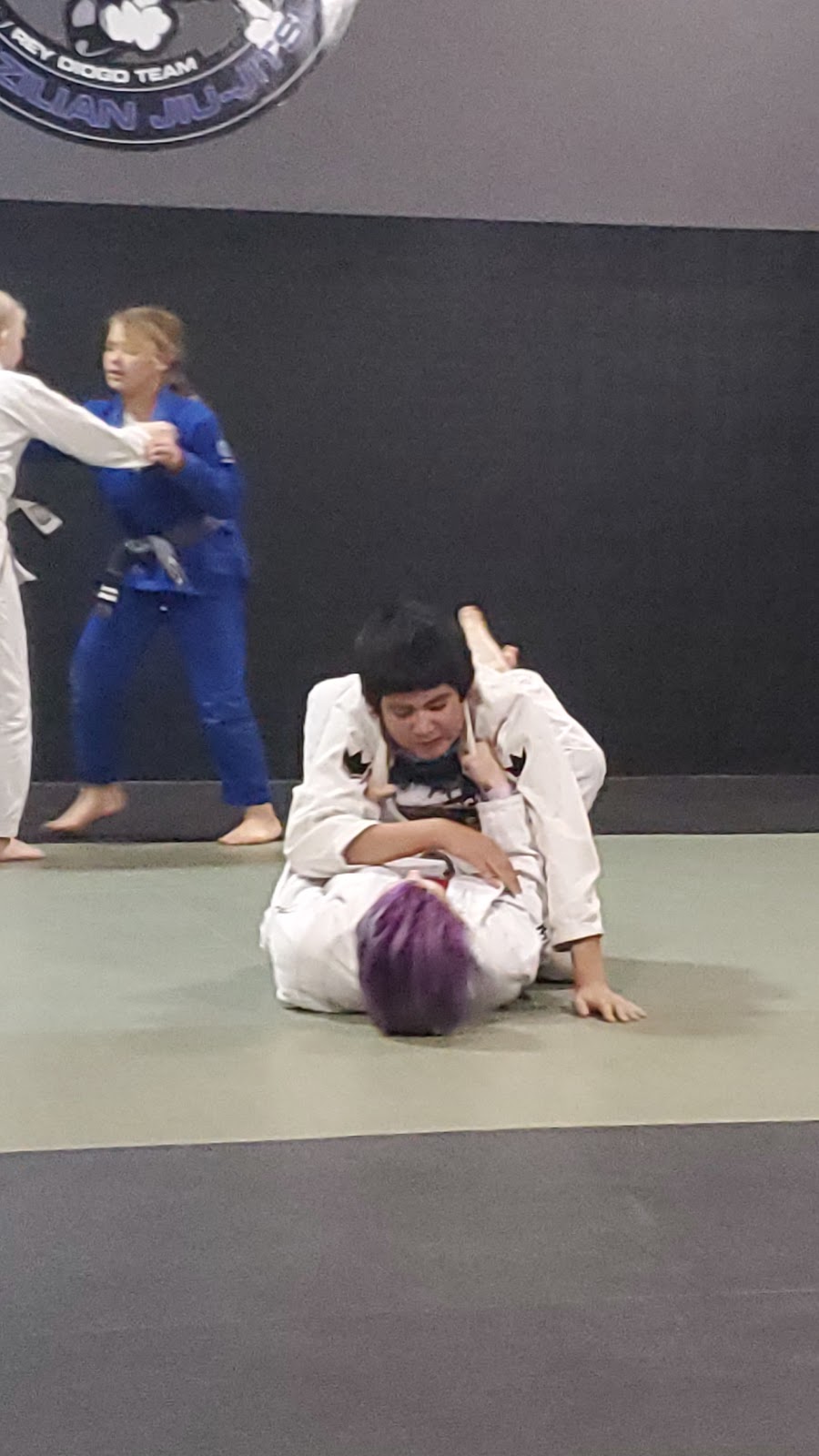 Image 2 of Full Charge Brazilian Jiu-Jitsu