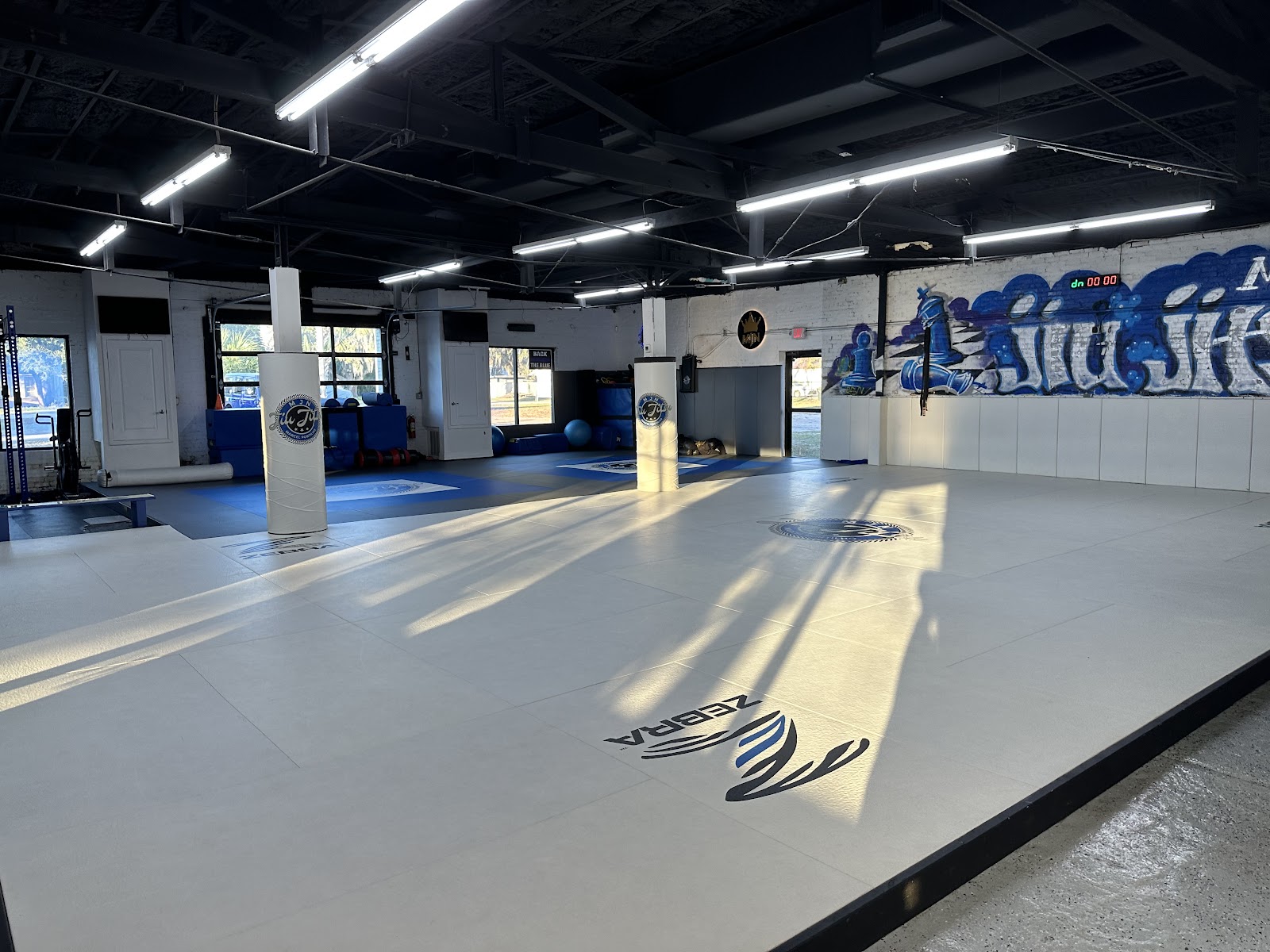 Main image of New Journey Jiu Jitsu & Grappling