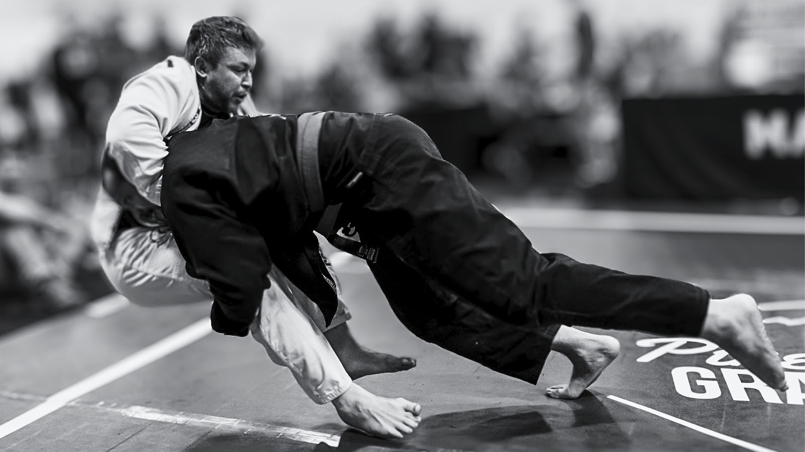 Image 6 of Mountain Rollers Jiu-Jitsu