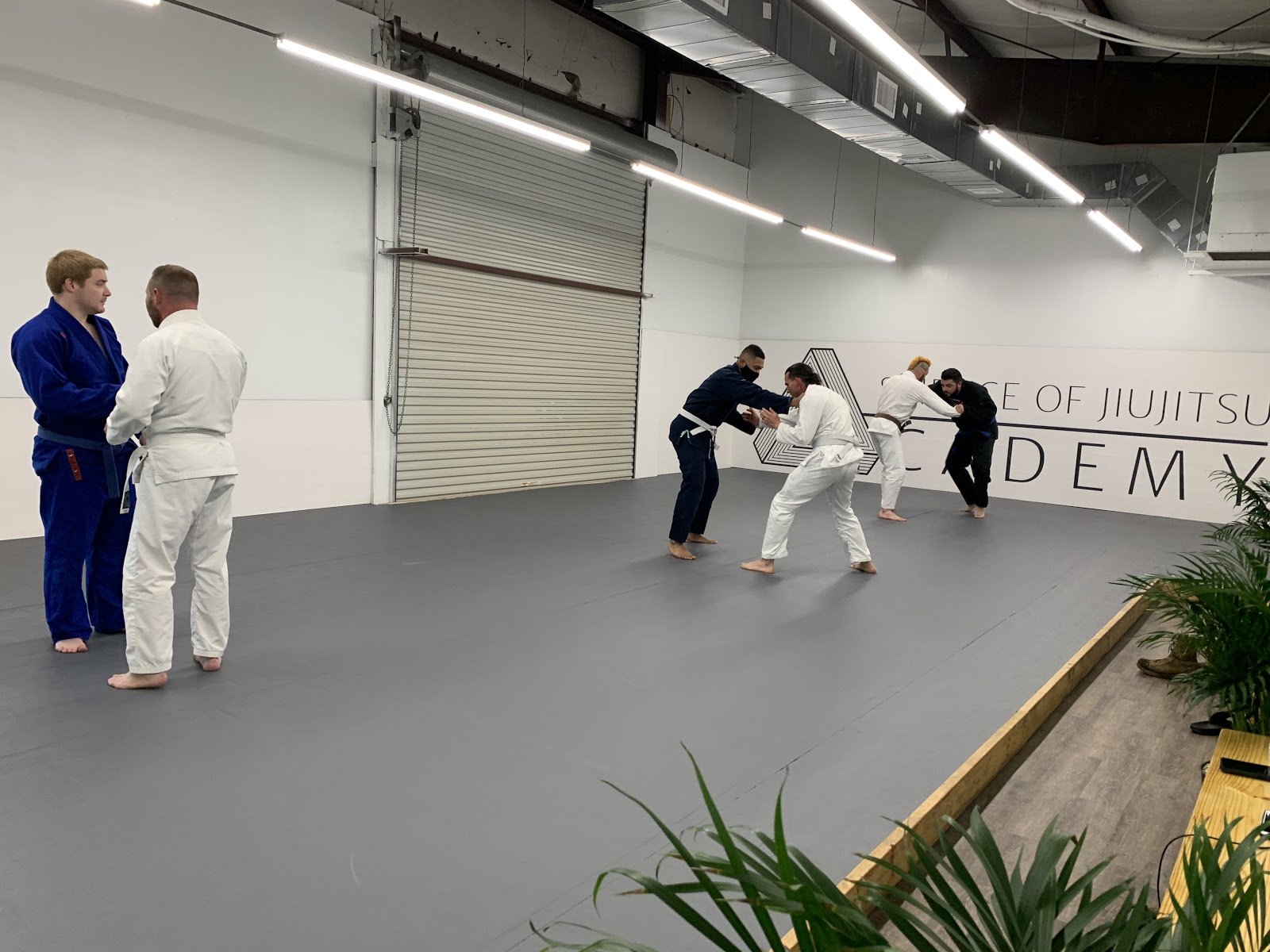 Main image of Science of Jiu Jitsu Academy