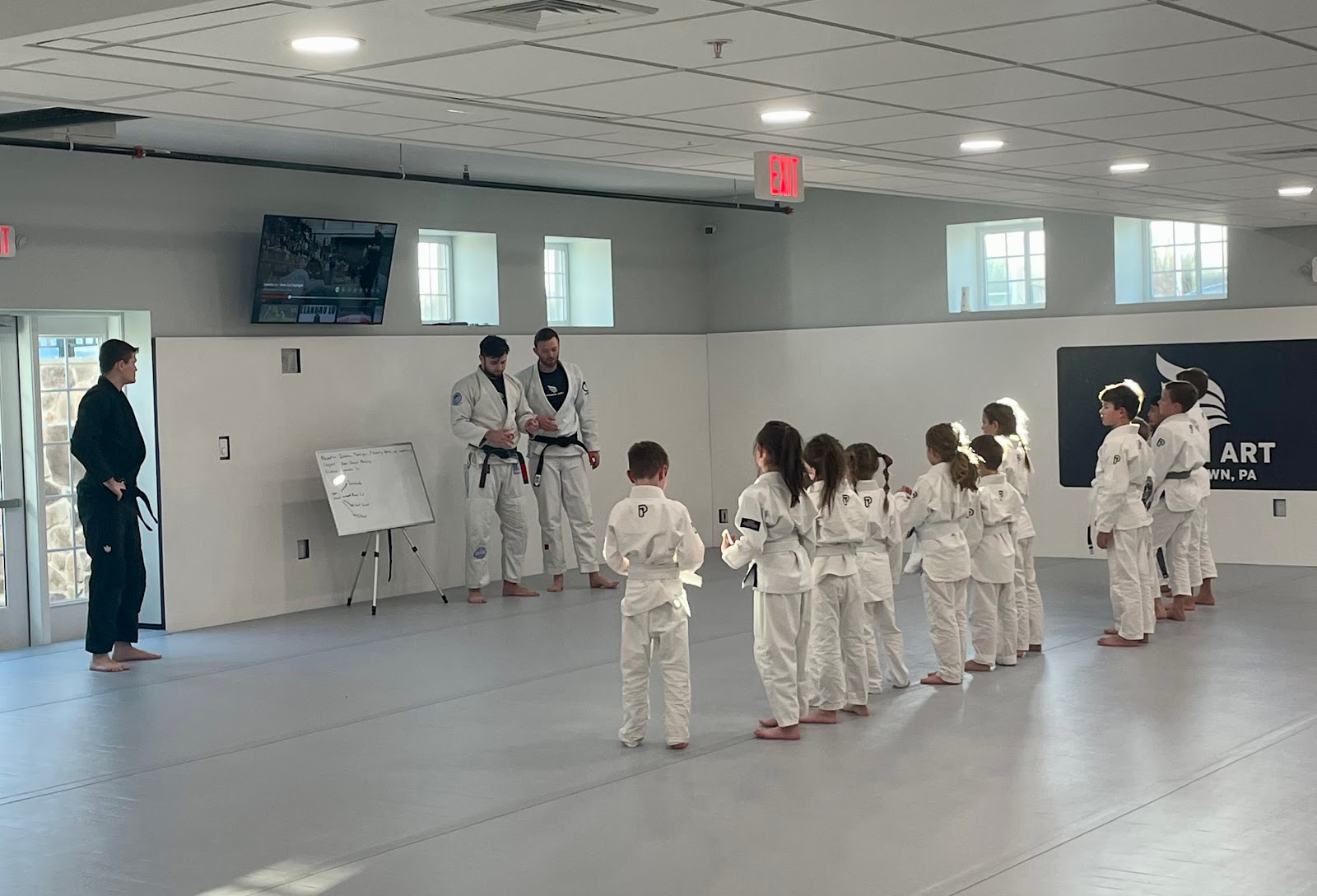 Dream Art Jiu Jitsu - Doylestown, PA photo