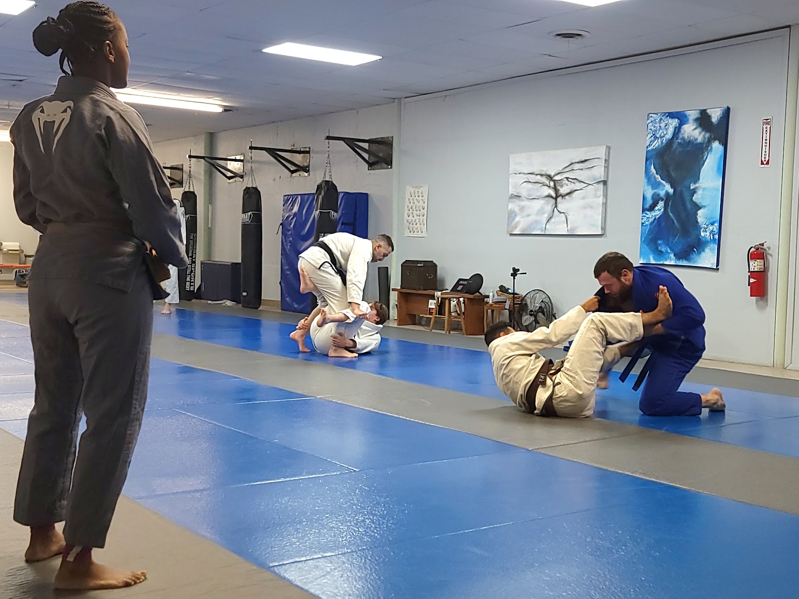 Main image of Select Jiu Jitsu Academy