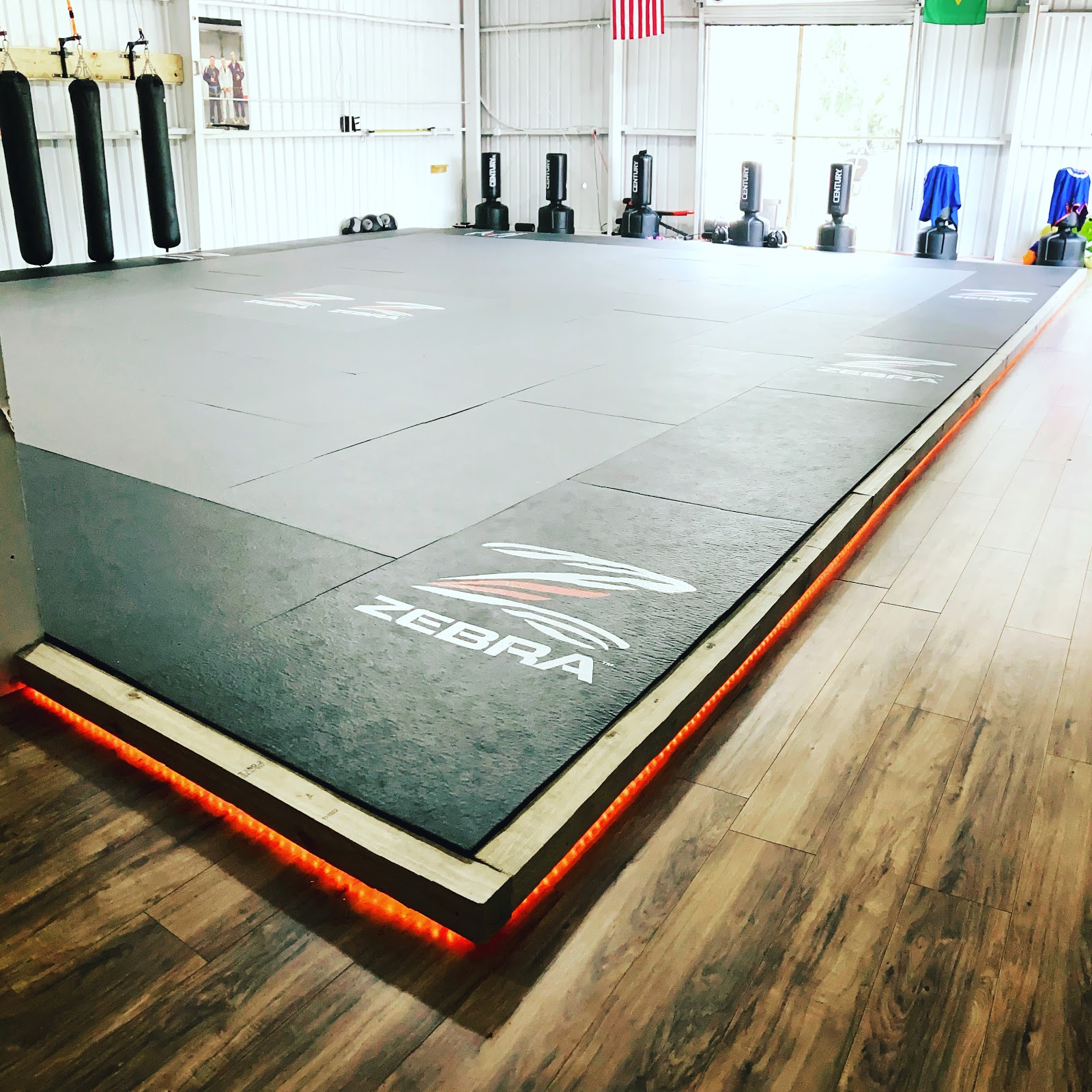 Image 3 of Alliance Jiu-Jitsu Panama City