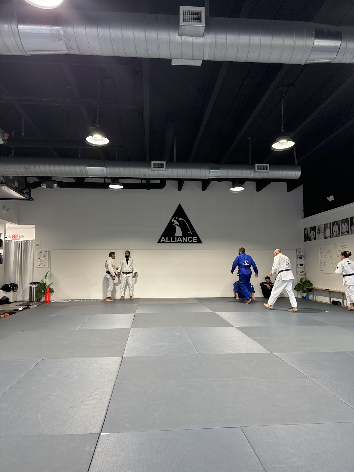 Image 5 of ALLIANCE JIU JITSU MARTIAL ARTS