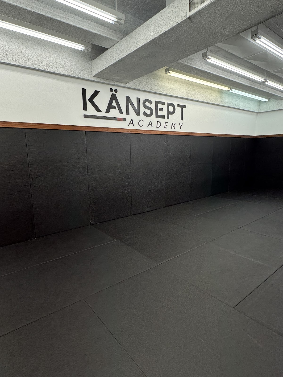 Känsept Jiu-Jitsu Academy photo