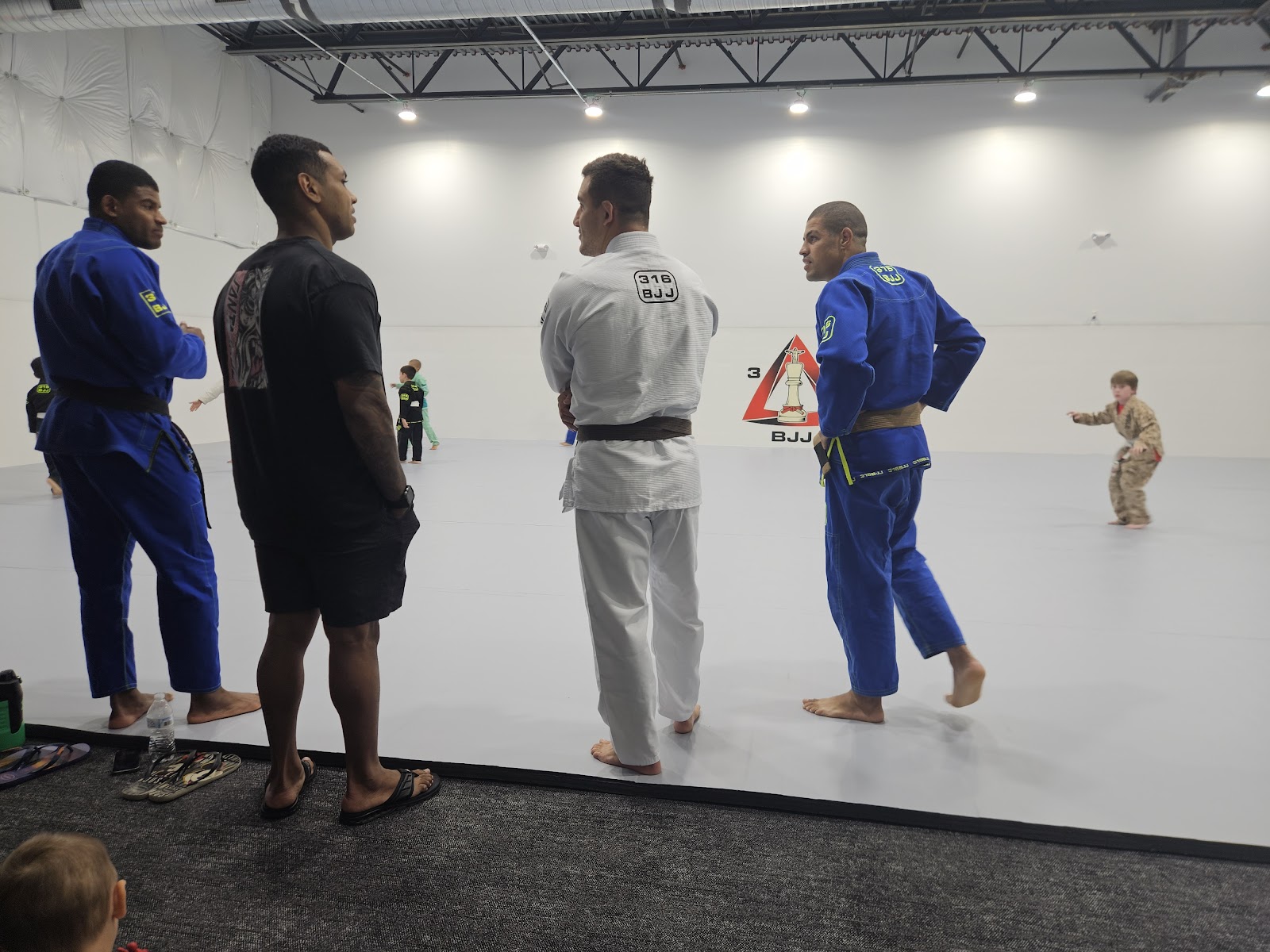 Image 5 of 316 BJJ