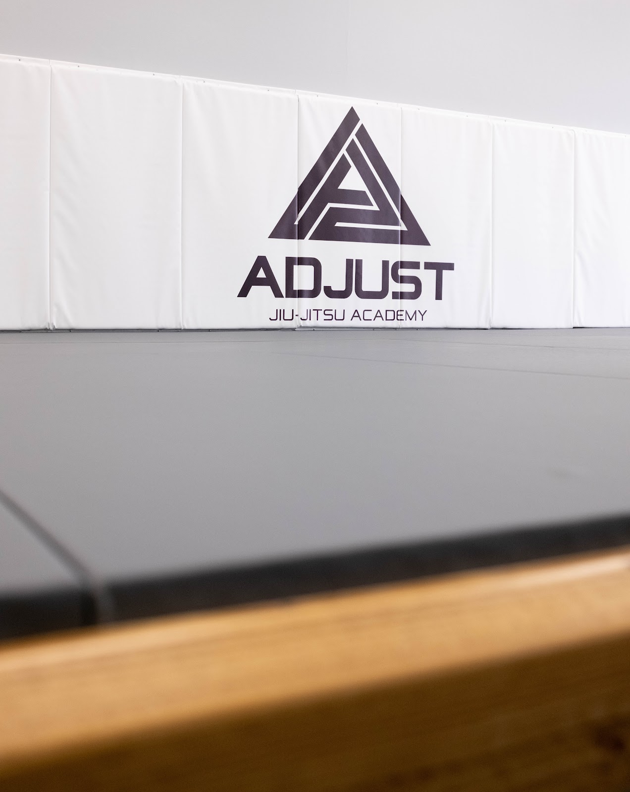 Adjust Jiu-Jitsu Academy photo