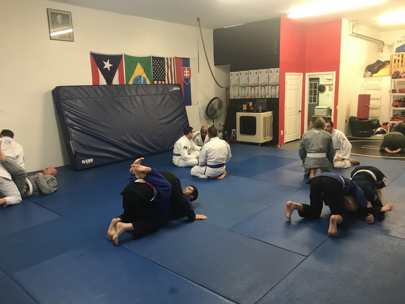 Main image of Raven Brazilian Jiu-Jitsu