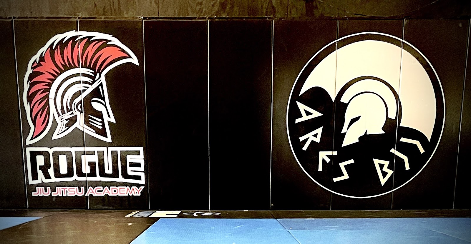 Image 4 of Rogue Jiu Jitsu Academy