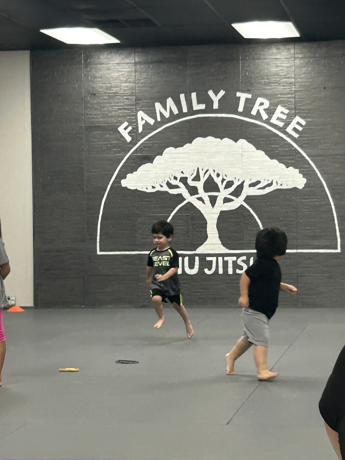 Image 3 of Family Tree Jiu Jitsu