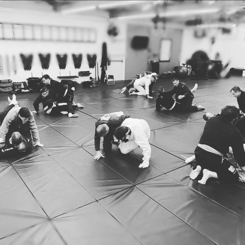 Brownsburg Brazilian Jiu-Jitsu photo