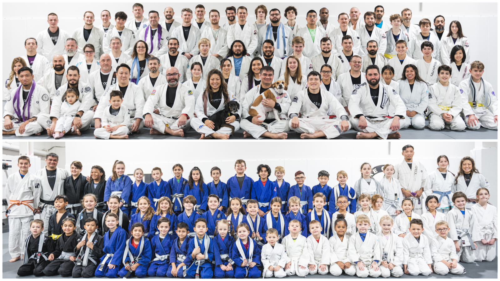 Lake County Brazilian Jiu-Jitsu photo