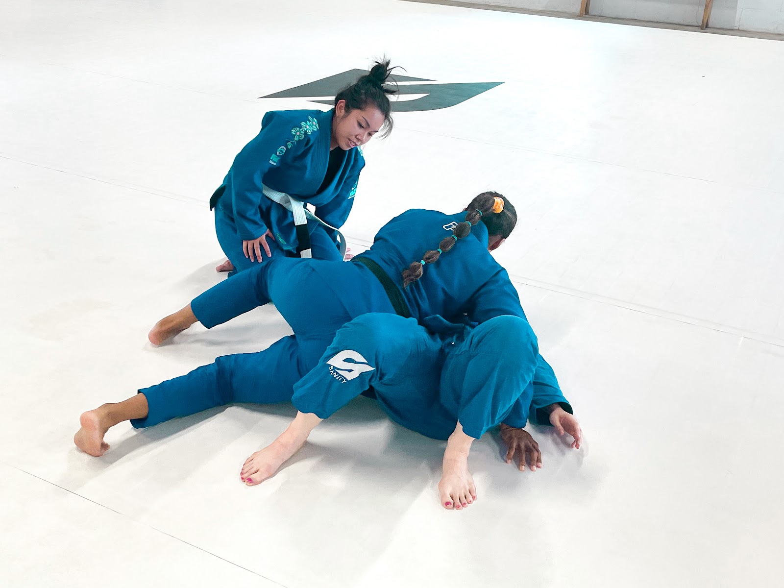 Image 9 of SANITY JIU JITSU WINTER GARDEN