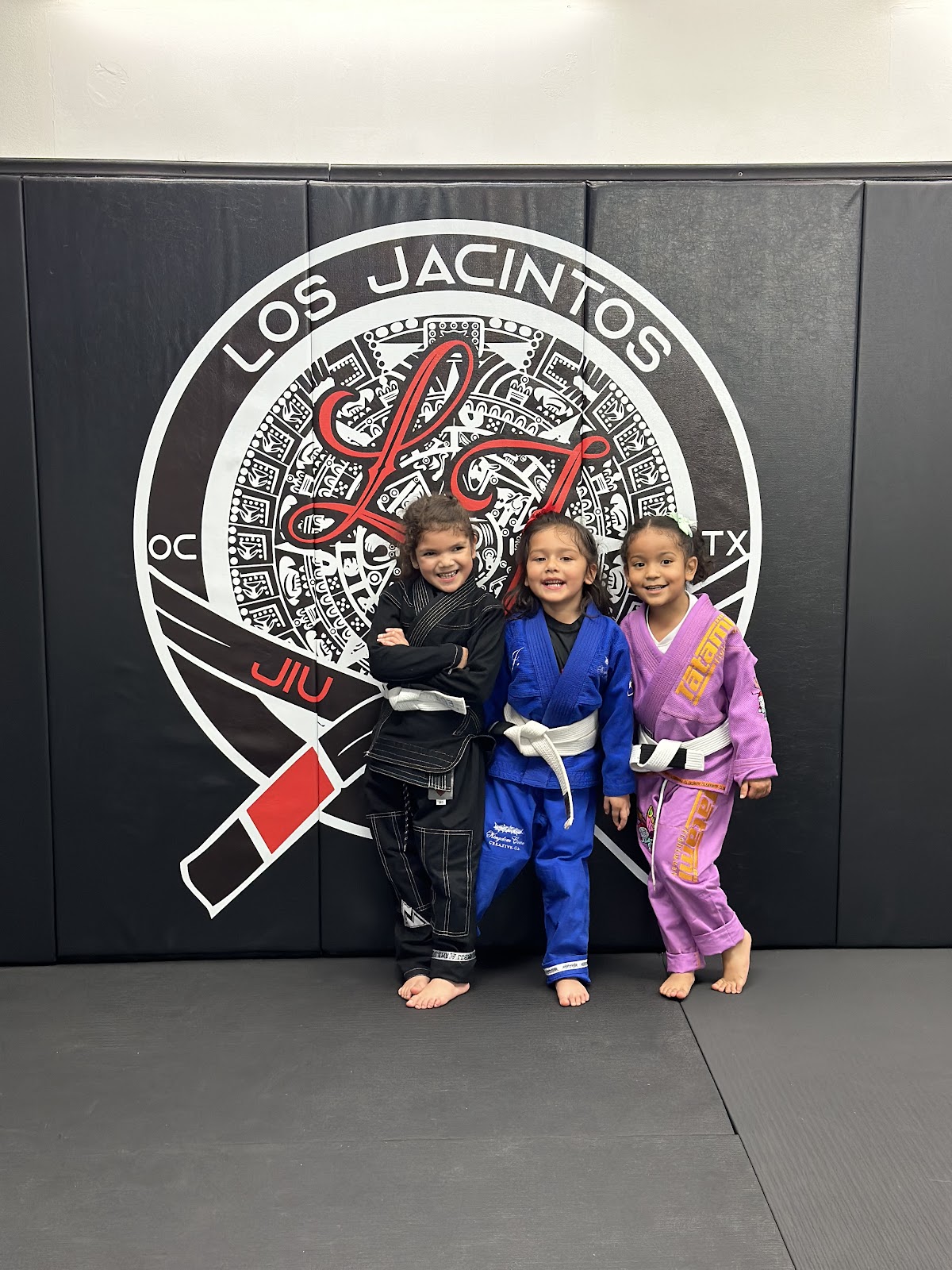 Image 6 of Los Jacintos Jiu-Jitsu Academy