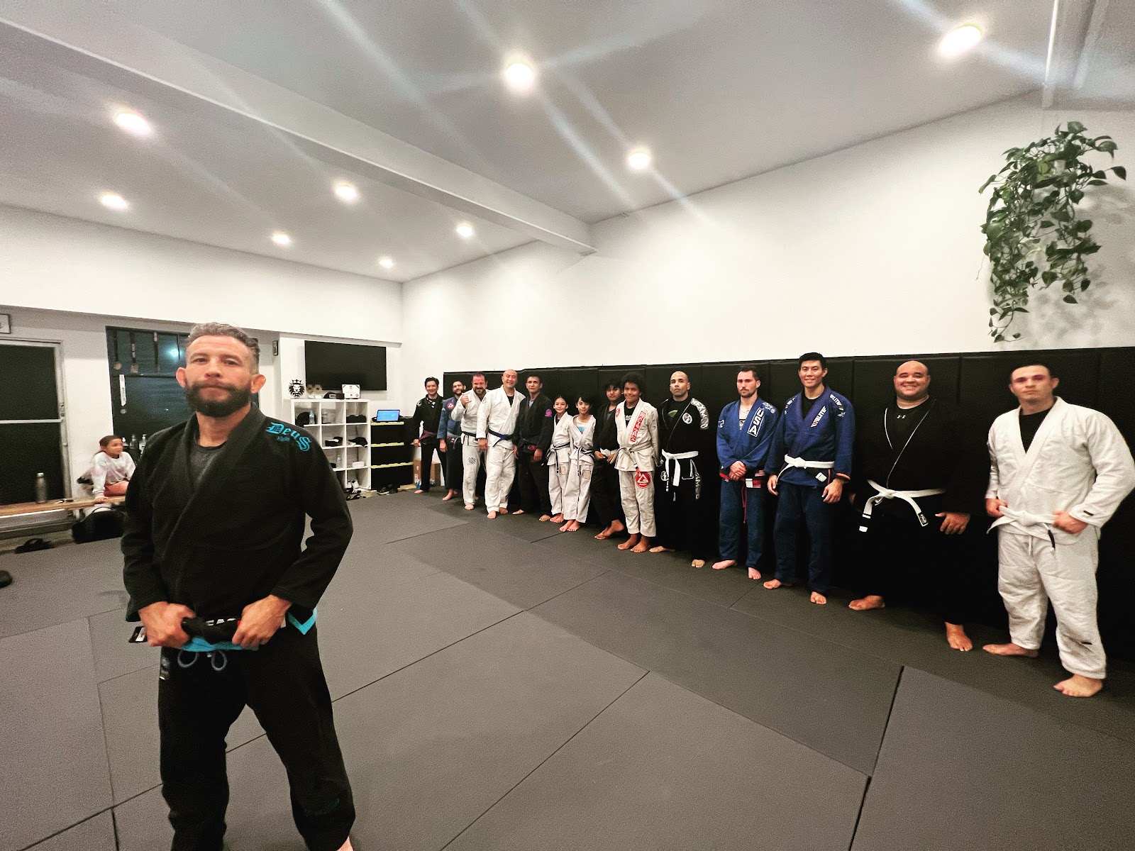 Main image of Steez Jiujitsu Club