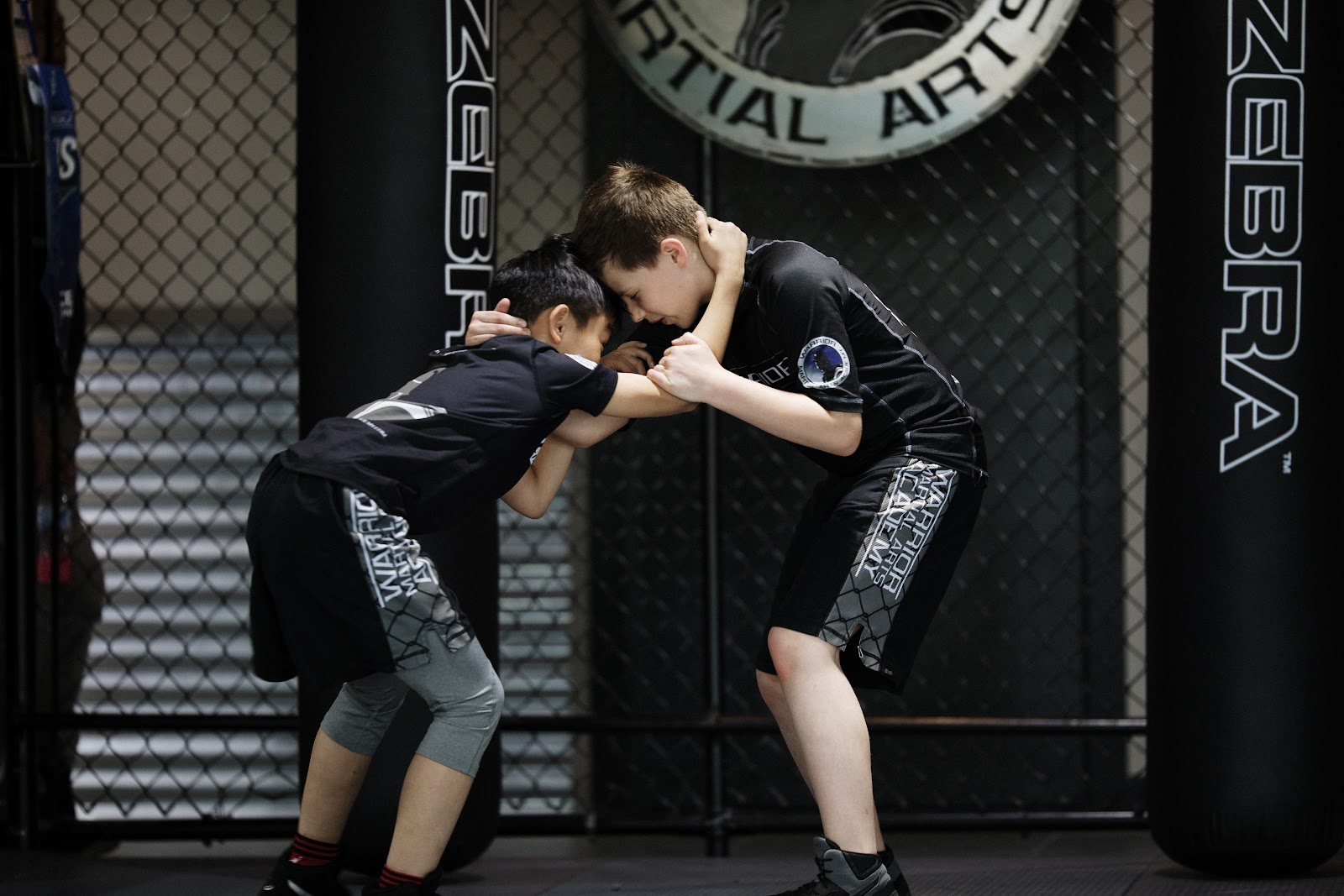 Image 4 of Warrior Martial Arts Academy