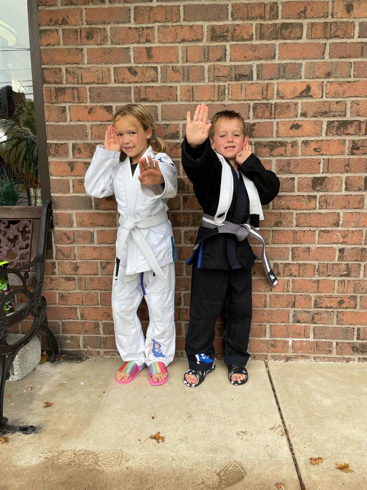 Ataraxis Brazilian Jiu Jitsu & Self Defense, LLC photo