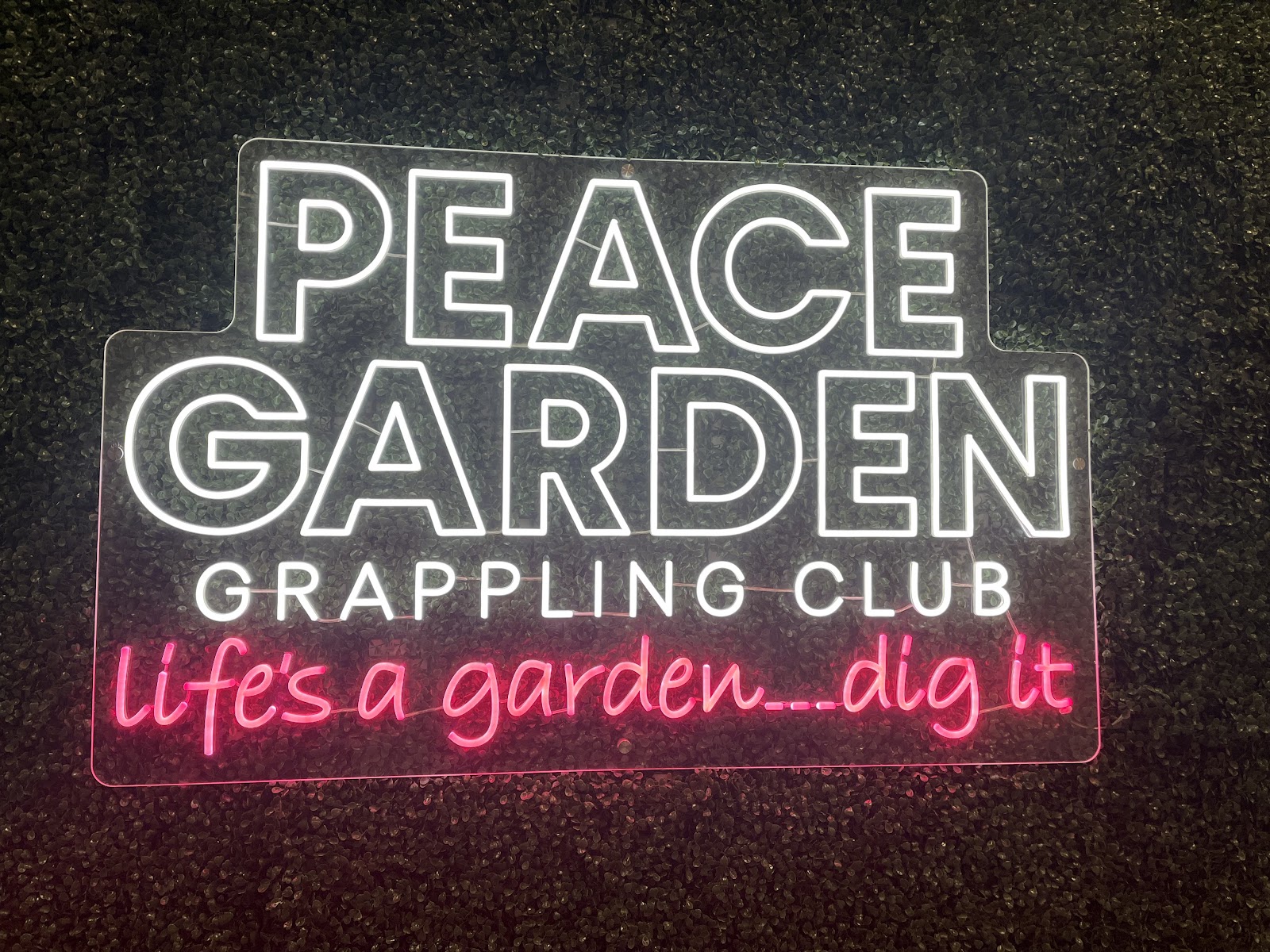 Peace Garden Grappling Club photo