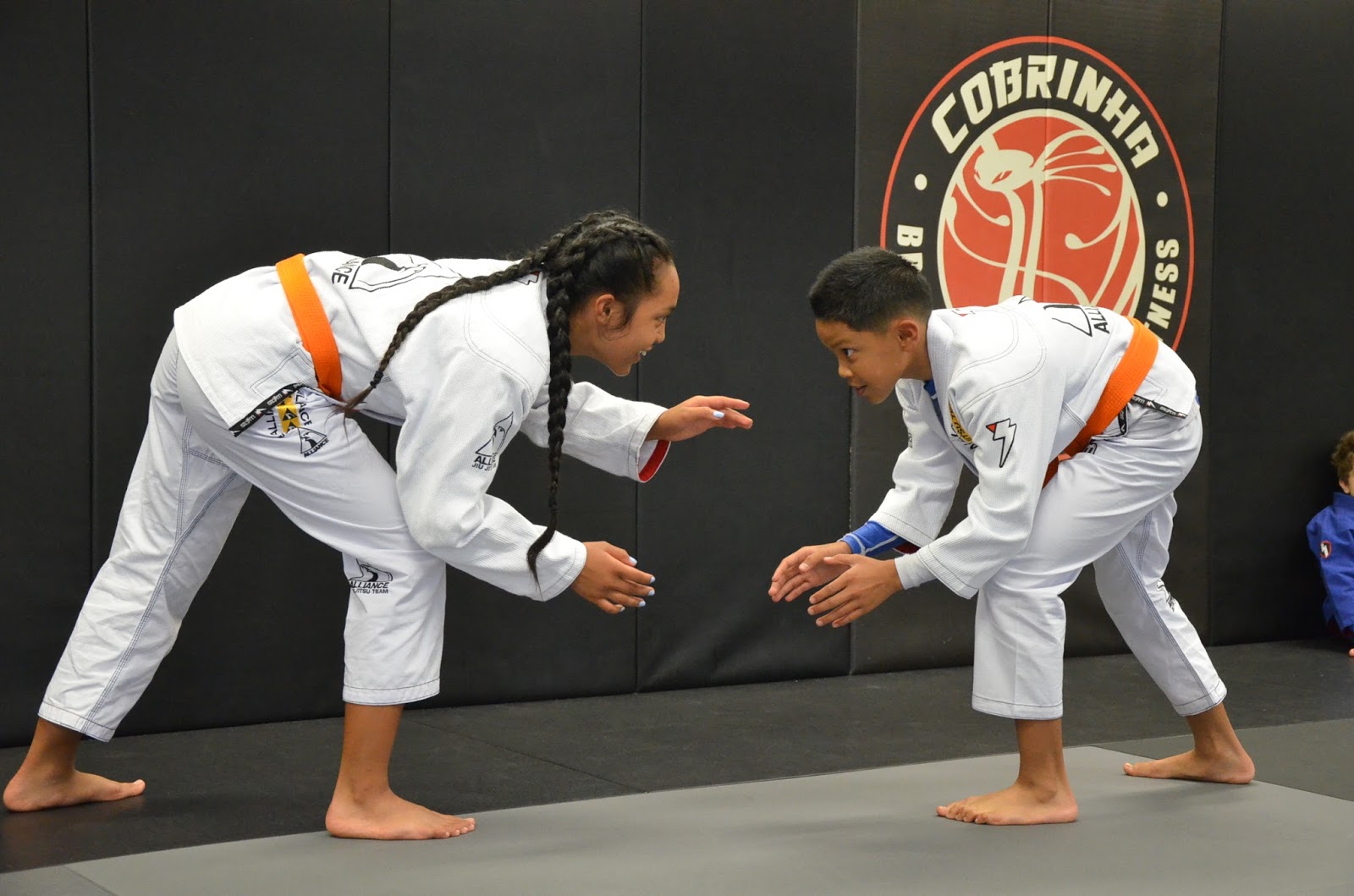 Cobrinha Brazilian Jiu-Jitsu & Fitness photo